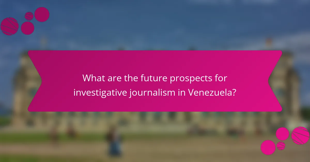 What are the future prospects for investigative journalism in Venezuela?