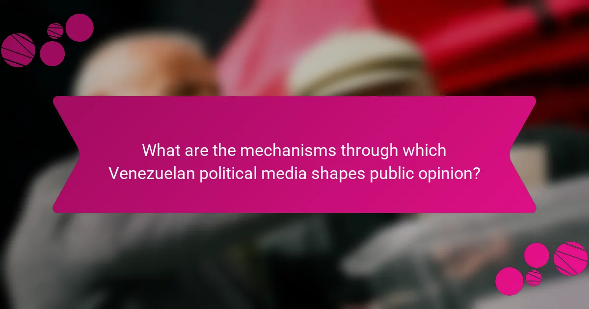 What are the mechanisms through which Venezuelan political media shapes public opinion?