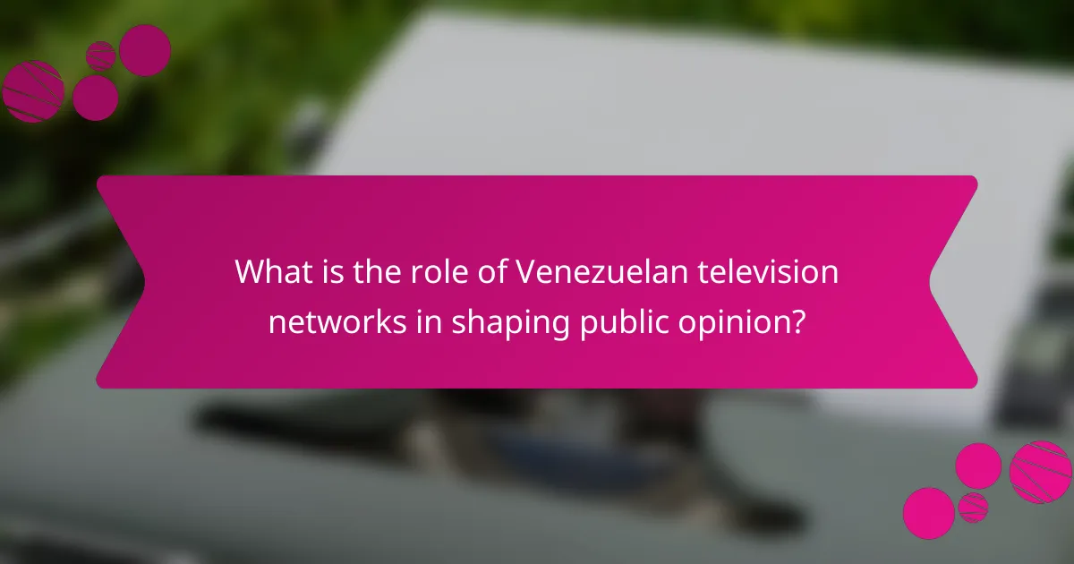 What is the role of Venezuelan television networks in shaping public opinion?